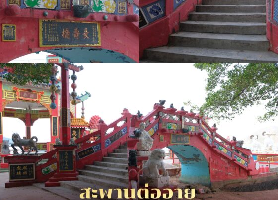 สะพานต่ออายุ